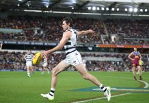 Bunyip rolls out the guns