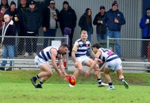 A great weekend for ducks