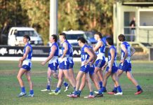 Kangaroos can’t take chances