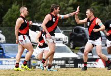 Brilliant Bombers bounce Lions