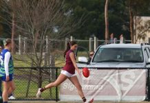 Kolaritsch kicks seven as Lions lock in double chance