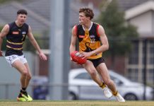 Stingrays stave off Bushrangers challenge