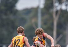 Dandenong dominant at frigid Frankston