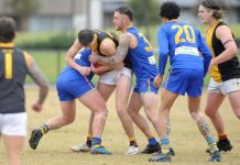 Cranbourne fight gallantly against reigning premier