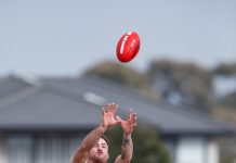 Cranbourne defeated by Dingley