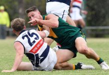 Falcons back on winner’s list