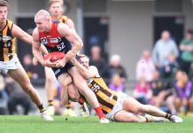 Demons falter in the Queensland heat