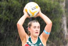 Something special from Seagulls