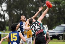 Cobras kill with a clean strike