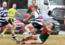 Seagulls to spruce things up