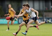 Locals shine on big stage