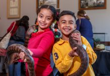 Wildlife fun on display