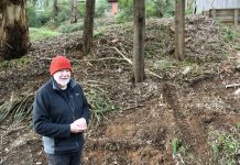 Storm interim review welcomed