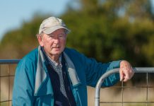 One tree to thousands