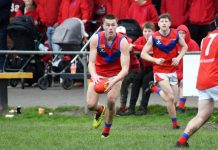Teen aged Lyrebird cracks a ton