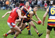 Longwarry challenge undefeated Lyrebirds