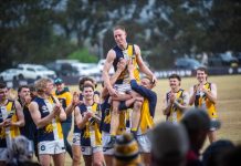 Eagles in a class of their own