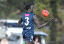 Tigers too big and talented for Berwick