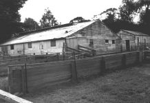 Historic milking shed demolished by industry