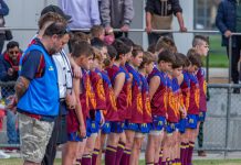 Lions through to the big dance