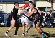 Panthers hitting form