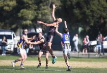 Devon demolished by Eagles