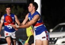 Bulldogs draw trap side while Tigers tackle top talent