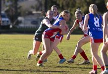 Gippy go two from two