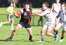 Hampton Park’s stunning comeback