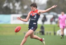 Feverish Footscray feast on Demons