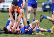 Demons bring down Dusties