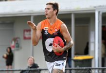 Growing Giants slay Stars with Bulldogs next on the list