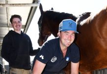 The work behind the horse