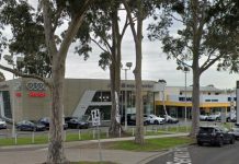 Casey aims for 30% more trees