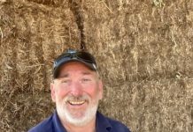 Fill your sheds with hay, they say