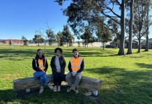 Spotted gum finds new home