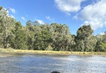 Stonker trout stockings across South East