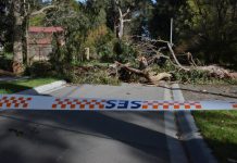 Wild winds hit the South East