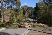 Largest wind event in 10 years set to cause more havoc