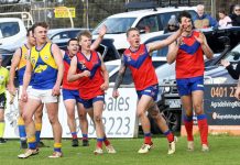 Lyrebirds through to grand final