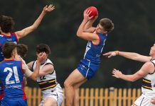 Gippsland causes a boilover