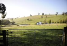 Bunyip candidates pledge to lead quarry issue