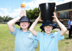 School_448992_06