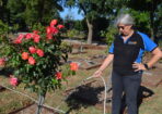 cemetery_455341_02