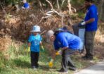 cleanup_462061_07