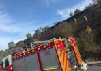 grassfire_463403_01