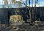 grassfire_463403_02