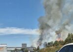 grassfire_463403_03