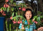 Garden_473401_01