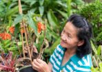 Garden_473401_03